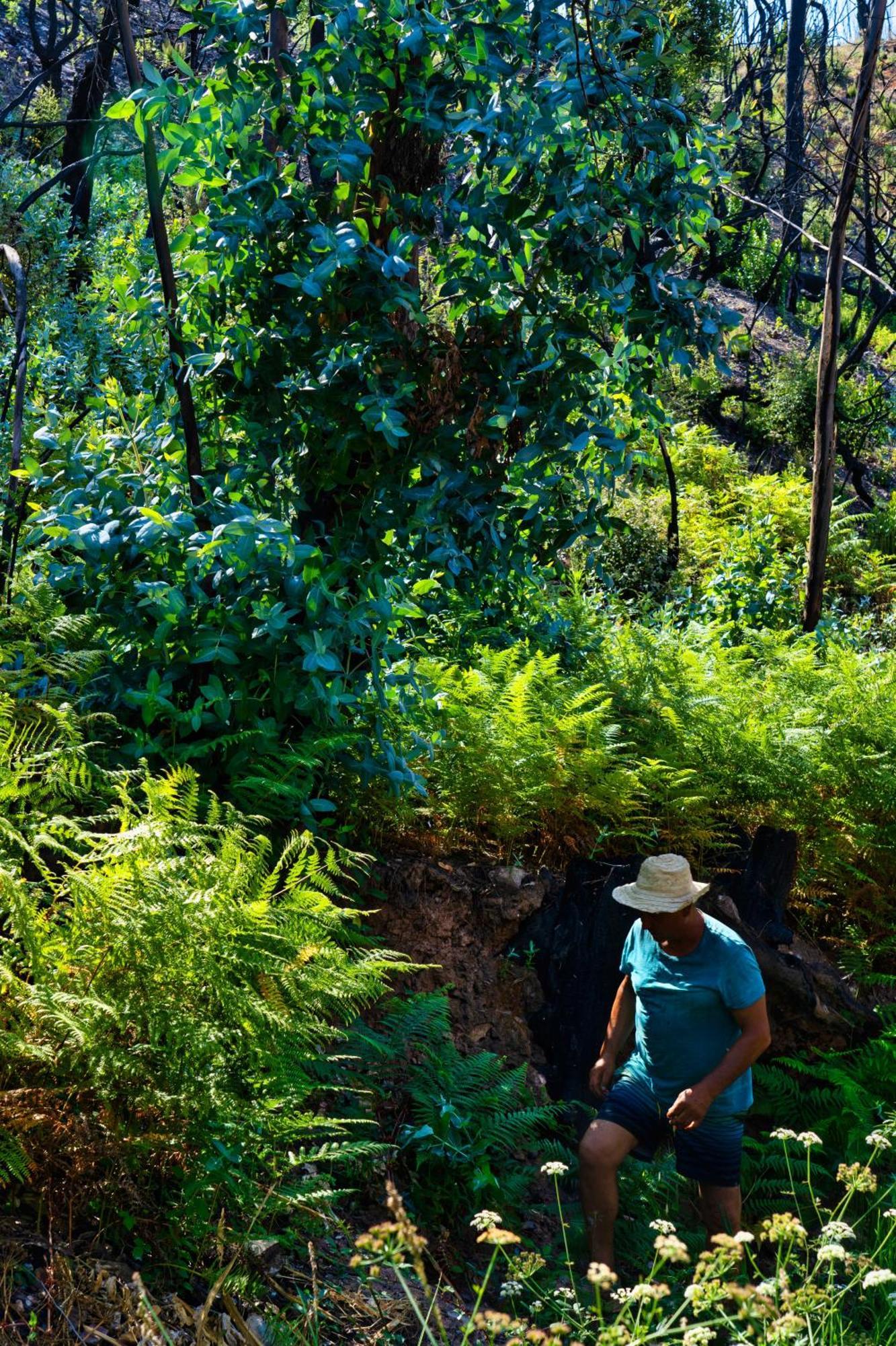 Choeiro Verde - Casa De Campo Na Costa Vicentina Brejao Zewnętrze zdjęcie