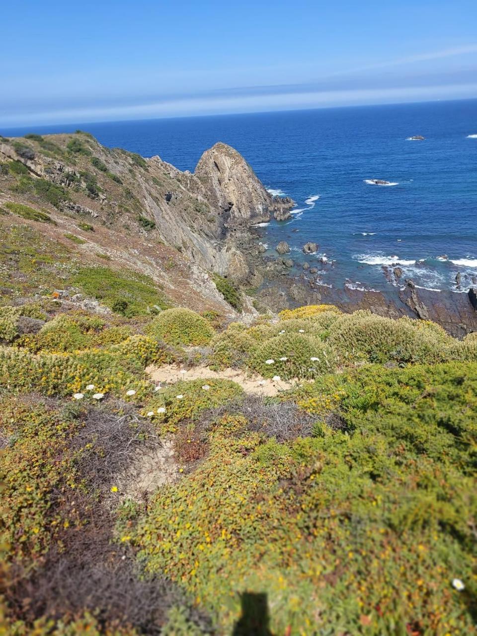 Choeiro Verde - Casa De Campo Na Costa Vicentina Brejao Zewnętrze zdjęcie